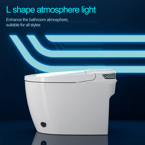 Smart Bidet Toilets Auto Flush Heated Seat Warm Wash Dry Nightlight Remote Control（004）