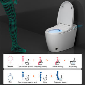 Smart Bidet Toilets Auto Flip, Auto Flush Heated Seat Warm Wash Dry Remote Control（006）